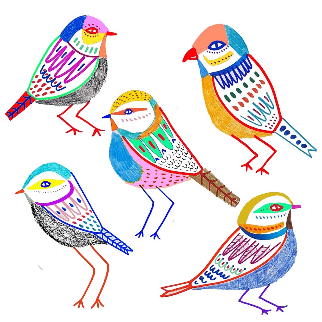 garden birds, bird illustration, bird art, birds, artist, illustrator, animal art, nature